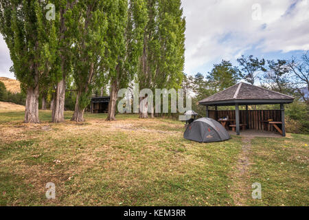 Fila di pioppi a Westwinds Camping campeggio a valle Chacabuco, Patagonia futuro parco nazionale del Cile Foto Stock