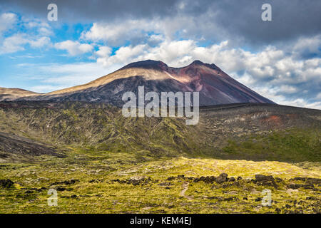 Raihuen cratere sottostante Volcan Casablanca, Puyehue National Park, Los Lagos Regione, Patagonia, Cile Foto Stock