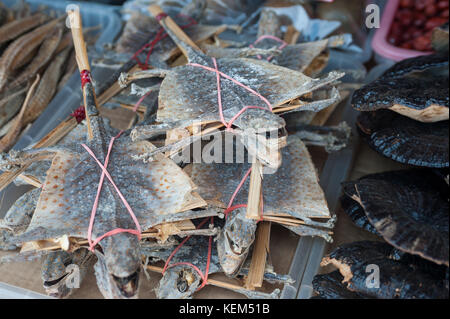 20.10.2017, Singapore, Repubblica di Singapore, in asia - una medicina tradizionale cinese shop vende tutti i tipi di piante essiccate, erbe, frutta e animali. Foto Stock