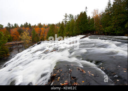 Bond cade nella foto durante la stagione autunnale di Paulding, Michigan, Stati Uniti d'America. Foto Stock