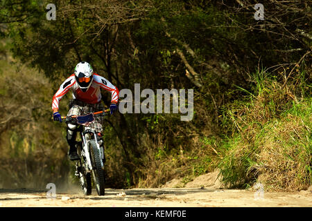 Downhill mountain biker indossando un bianco arancione costume in sella ad una rapida velocità down hill Foto Stock