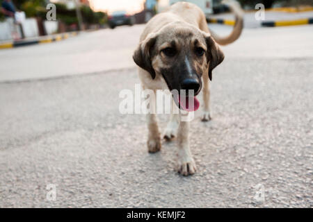 Le strade della cittadina, Turchia 2013 Foto Stock