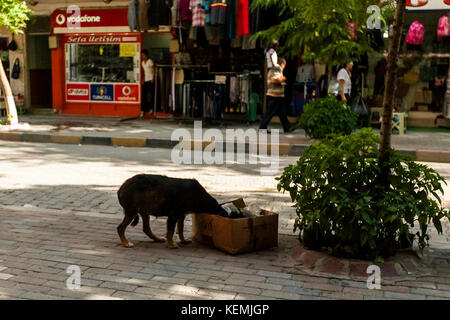 Le strade della cittadina, Turchia 2013 Foto Stock