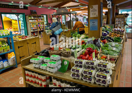 La fattoria biologica Shop presso la Abbey House Agriturismo, CIRENCESTER, GLOUCESTERSHIRE, CON Rosemay Aitken tenendo un selezione di produrre. Foto Stock