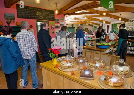 La fattoria biologica Shop presso la Abbey House Agriturismo, CIRENCESTER, GLOUCESTERSHIRE, CON Rosemay Aitken tenendo un selezione di produrre. Foto Stock