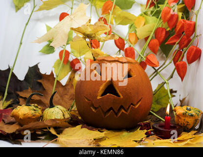 Zucca di halloween jack testa lanterna Foto Stock