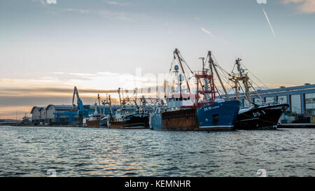 Una flotta di pesca i pescherecci con reti da traino ormeggiato su una banchina in shoreham harbour. È mattina presto, non molto tempo dopo l'alba Foto Stock