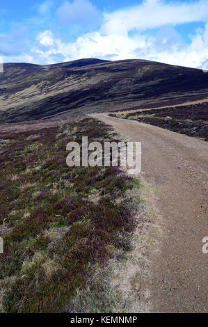 La via che conduce alla vetta del monte scozzese corbett mount battock dalla collina di saughs in Glen esk, Angus, Highlands scozzesi. uk. Foto Stock