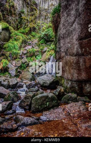 Cascata a masterizzare o Iva Glacially eroso buca, Muir of Dinnet NNR, Cairngorms, Scotland, Regno Unito. Autunno 2017. Foto Stock