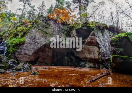 Masterizzare O IVA Glacially eroso buca, Muir of Dinnet NNR, Cairngorms, Scotland, Regno Unito. Autunno 2017. Foto Stock