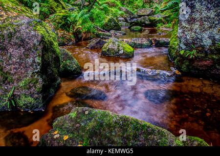 Masterizzare O IVA Glacially eroso buca, Muir of Dinnet NNR, Cairngorms, Scotland, Regno Unito. Autunno 2017. Foto Stock