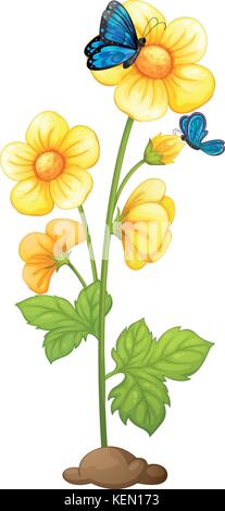 Illustrazione di un impianto con fiore fiori giallo su sfondo bianco Illustrazione Vettoriale