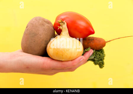 Verdure organiche. donna di mani di fresco con ortaggi raccolti. carote, cipolle, verdi, patata Foto Stock