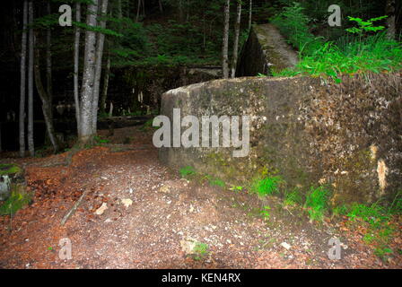 AJAXNETPHOTO. 25Giugno, 2014. OBERSALZBURG, Germania. - Resti di fondamenta di ADOLF HITLER HOUSE "BERGHOF'. Foto:TONY HOLLAND/AJAX REF:DTH142506 9882 Foto Stock