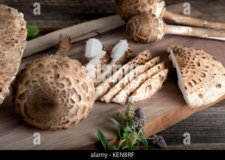 Macrolepiota procera è un molto saporiti funghi commestibili. Si tratta di un regalo stagionali dalla foresta Foto Stock