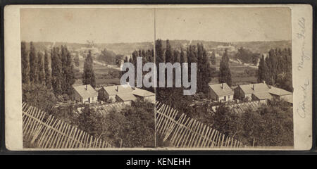 Vista dal museo motivi, Canada lato. Clifton House in distanza. (Niagara Falls.), da Robert N. Dennis raccolta di vista stereoscopica Foto Stock