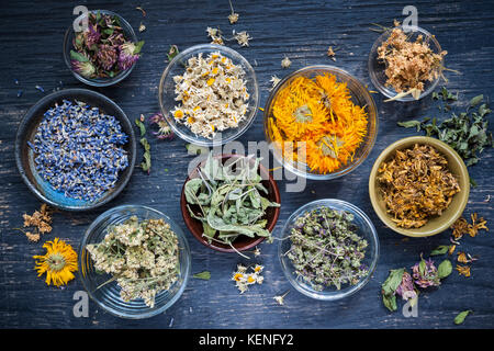 Varie erbe officinali essiccate e tisane in diversi recipienti su blu sullo sfondo di legno dal di sopra Foto Stock