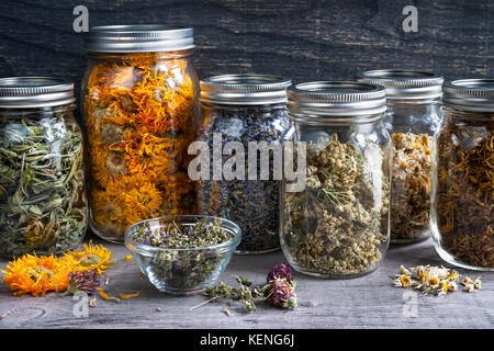 Varie erbe officinali essiccate e tisane in diversi vasi di vetro su grigio Sfondo legno, close up Foto Stock