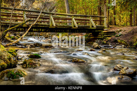 Buon Bridge si trova in Radium della Columbia britannica in Canada. Foto Stock