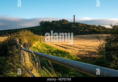 Vista della collina Hopetoun monumento su Byres Hill, East Lothian, Scozia, Regno Unito, attraverso un campo di raccolto in condizioni di scarsa luce del sole del pomeriggio prima del tramonto Foto Stock