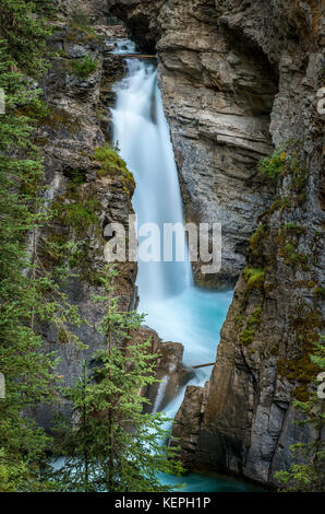 Canyon Johnston situato sul Bow Valley Parkway, Banff. Foto Stock