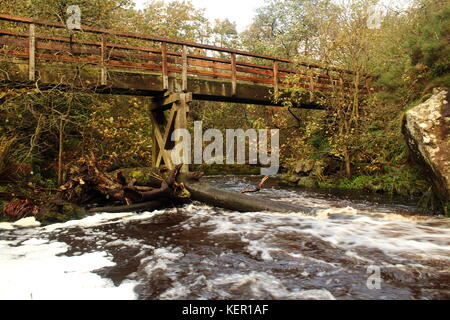 Lynn cade su lugton acqua ad ovest di dalry, North Ayrshire, in Scozia con alberi d'autunno in background. Foto Stock