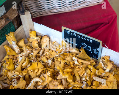 GIROLLES CHANTERELLE FUNGHI MERCATO STALLO Blackboard prezzo promozione FUNGHI Girolles in vendita nel mercato tradizionale della Bretagna Francia Foto Stock