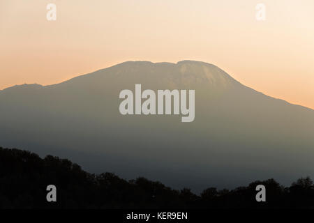 Sunrise di colpire la sommità del Monte Kilimanjaro visto da Arusha NP, Tanzania Foto Stock