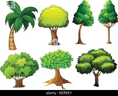 Illustrazione di una serie di alberi differenti Illustrazione Vettoriale