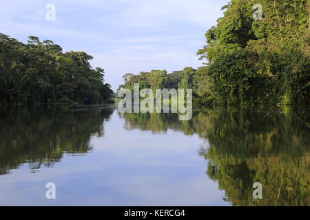 Parco Nazionale di Tortuguero, Limón provincia, il Mare dei Caraibi, Costa Rica, America Centrale Foto Stock