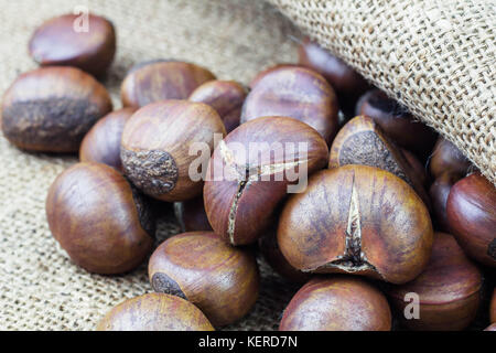 Castagne arrostite su vecchio sacco. Foto Stock