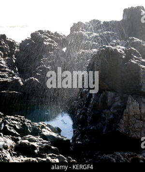 Emissione di spruzzo da un foro di sfiato sulla Penisola di Gower Galles Foto Stock