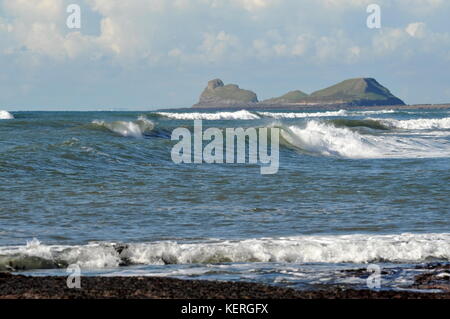 Worm testa da caldaie reef sud Gower Foto Stock