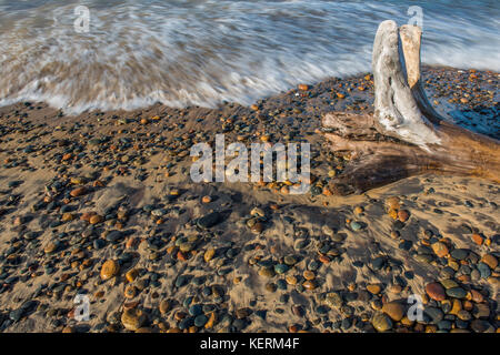 Ciottoli lungo il lago Superior, coregoni Point Beach, Michigan STATI UNITI D'AMERICA da Bruce Montagne/Dembinsky Associa foto Foto Stock