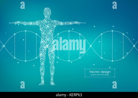 Abstract il corpo umano con molecole di DNA. Medicina, la scienza e la tecnologia del concetto. Illustrazione Vettoriale Illustrazione Vettoriale