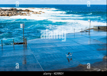 Vista sulla piscina all'aperto e sul mare lungo il sentiero costiero tra la spiaggia di Bondi e Coogee a Sydney Australia New South Wales. Foto Stock