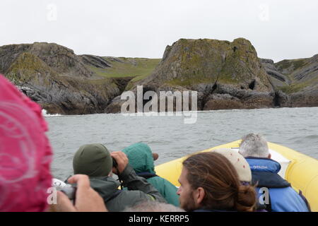 Visualizzazione del Gower da una barca, un piccolo gruppo di persone foto e ammirare la costa da una nervatura Foto Stock