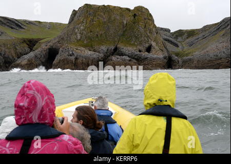 Visualizzazione del Gower da una barca, un piccolo gruppo di persone foto e ammirare la costa da una nervatura Foto Stock