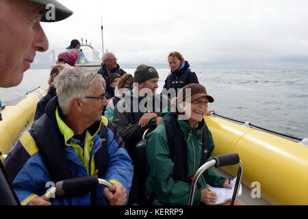 Visualizzazione del Gower da una barca, un piccolo gruppo di persone foto e ammirare la costa da una nervatura Foto Stock