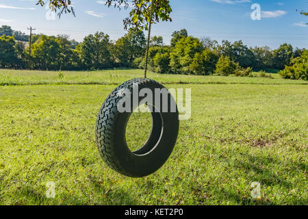 Automobile tire swing appeso a un albero su una fune Foto Stock