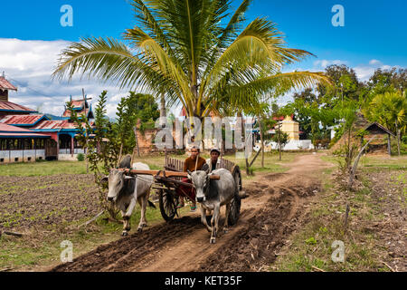 Popolo di Sagar villaggio su un zebù-azionato il carrello, Taunggyi, Myanmar Foto Stock