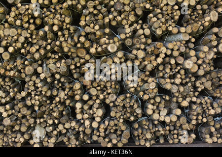 Splendidamente posizionato pila di legno Foto Stock