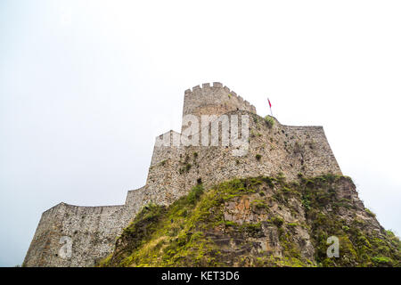 Vista generale del centro storico di Zil Castello sulla cima di una collina con grandi pareti in pietra tra alberi di pino e nebbioso sky. Zil castello fu costruito in Byzantyne pe Foto Stock