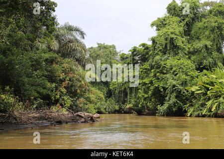 Rancho La Pavona a Tortuguero trasferimento del fiume Rio Suerte, Limón provincia, Costa Rica, Mar dei Caraibi e America centrale Foto Stock