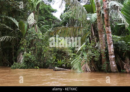 Rancho La Pavona a Tortuguero trasferimento del fiume Rio Suerte, Limón provincia, Costa Rica, Mar dei Caraibi e America centrale Foto Stock