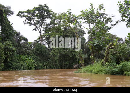 Rancho La Pavona a Tortuguero trasferimento del fiume Rio Suerte, Limón provincia, Costa Rica, Mar dei Caraibi e America centrale Foto Stock