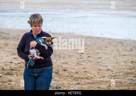 Dog Walking - una donna che porta il suo piccolo cane su Fistral Beach Newquay. Foto Stock