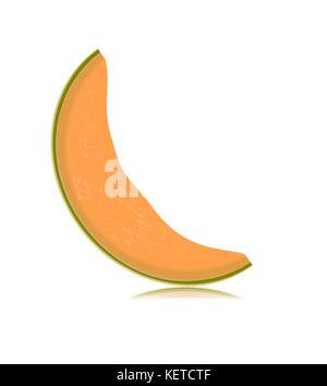 Fette di melone isolati su sfondo bianco Illustrazione Vettoriale