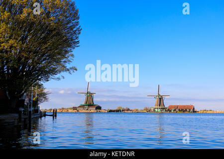 Mulini a vento tipico riflesso nell'acqua blu del fiume Zaan in primavera a Zaanse Schans Olanda settentrionale dei Paesi Bassi in Europa Foto Stock