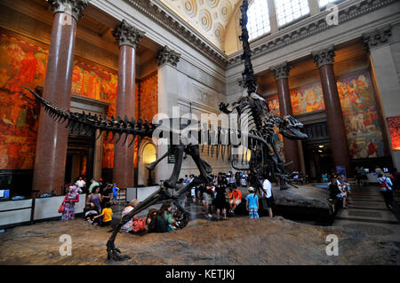 Scheletro di dinosauro presenta nella sala principale del museo americano sulla storia naturale a Manhattan, New York. Foto Stock
